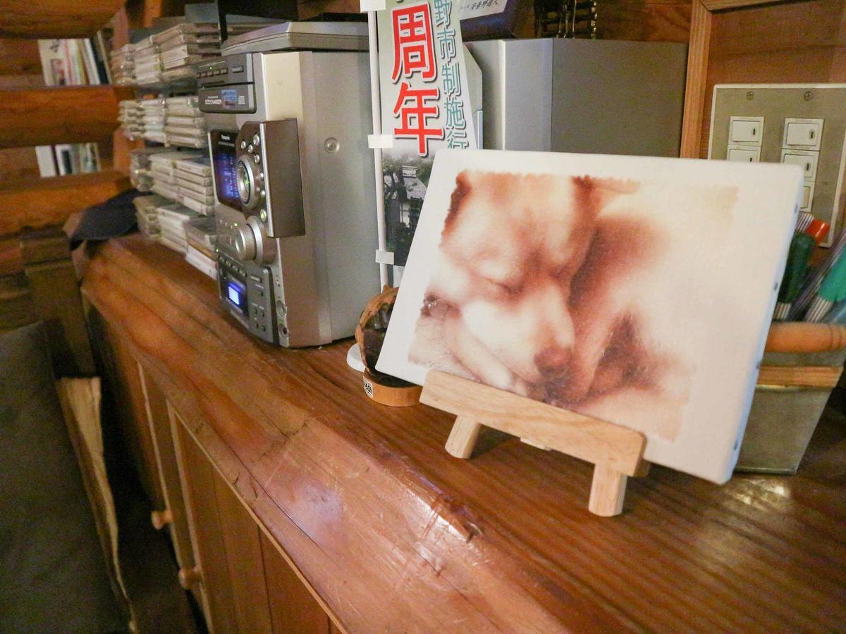 Canadian Loghouse Inn Azuminoyujin المظهر الخارجي الصورة